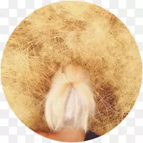 鼻子毛皮-我不知道我从这里要去哪里,但我-空若网 鼻子毛皮-我不知道我从这里要去哪里,但我-空若网