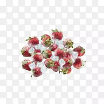 ��ݮ��ʳ��ȻʳƷ-������