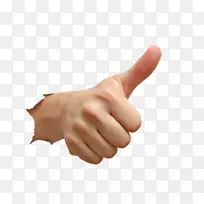 Ĵָ��ģ��-��-������