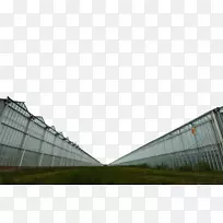 ����Ļǽ���Ҳ�������-������