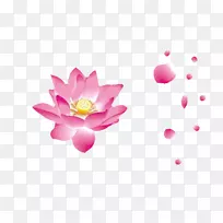 �Һ���������-������