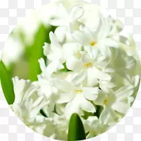 ��������л������ӻ�-������