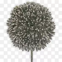 ��-��-������