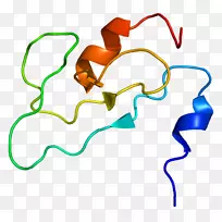 �ߵ������������-������