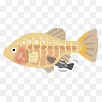 动物鱼-鲤鱼-空若网 动物鱼-鲤鱼-空若网