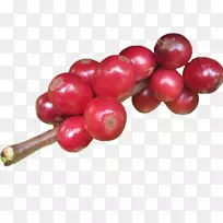 �����ȿ�����Ũ��������Խݮ����-������