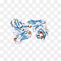 动物字形线-空若网 动物字形线-空若网