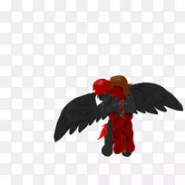 公鸡嘴羽-空若网 公鸡嘴羽-空若网