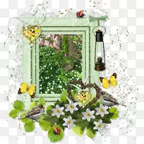 花期植物画框.设计-空若网 花期植物画框.设计-空若网