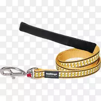 皮带材料.狗-空若网 皮带材料.狗-空若网