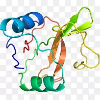 植物茎体珠宝剪贴画设计-空若网 植物茎体珠宝剪贴画设计-空若网