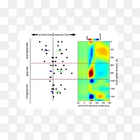 �ߵ��ͼ-��-������