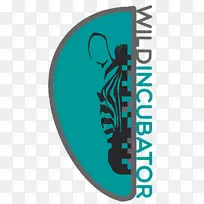 �����ѧ�о�����Ұ�����������-������