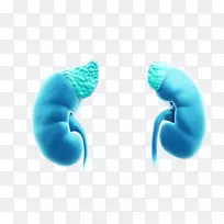 ����ʯ���������������������-������