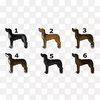 ����ֳҰ������β�͹�-������