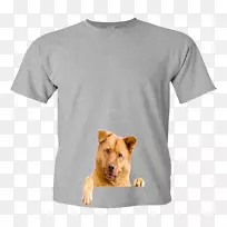 ���˾��ط��������˶���-t��-������