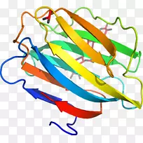 线点生物剪贴画线-空若网 线点生物剪贴画线-空若网