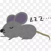 计算机鼠标动物鼻子-计算机鼠标-空若网 计算机鼠标动物鼻子-计算机鼠标-空若网