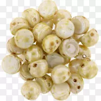 Ë®¹ûÌմɲ£Á§x5g-web´úÀícabochon²£Á§-¿ÕÈôÍø Ë®¹ûÌմɲ£Á§x5g-web´úÀícabochon²£Á§-¿ÕÈôÍø