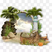 中心博客-Z3-空若网 中心博客-Z3-空若网