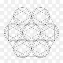 线对称图案线-空若网 线对称图案线-空若网