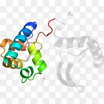 手指夹艺术设计-空若网 手指夹艺术设计-空若网