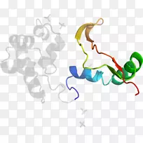 剪贴画设计-空若网 剪贴画设计-空若网