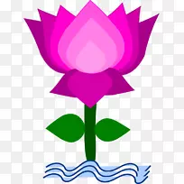 Nelumbo nucifera免费内容剪辑艺术-莲花剪贴画-空若网 Nelumbo nucifera免费内容剪辑艺术-莲花剪贴画-空若网