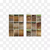 木材染色动物.木材-空若网 木材染色动物.木材-空若网