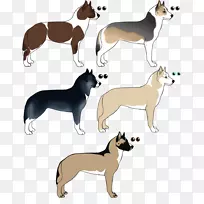 ����ֳ����Ұ�������������-������