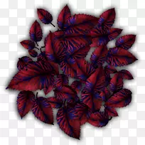 花瓣叶对称-空若网 花瓣叶对称-空若网