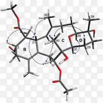 直线点角线-空若网 直线点角线-空若网