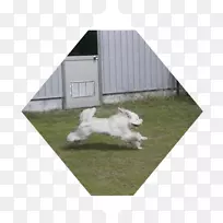 �н�-������