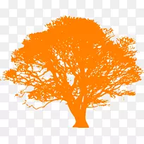 天鹅绒栎树剪贴画-卡通橙树-空若网 天鹅绒栎树剪贴画-卡通橙树-空若网