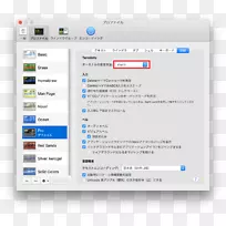 maosϵͳ����̨z shellϵͳ�����Ա���������ն�-������