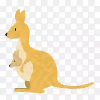 动物画册插图-2081-空若网 动物画册插图-2081-空若网