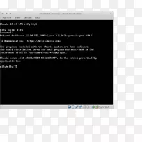 安装计算机服务器ubuntu服务器版安全外壳-xubuntu-空若网 安装计算机服务器ubuntu服务器版安全外壳-xubuntu-空若网