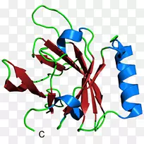 线点生物剪贴画线-空若网 线点生物剪贴画线-空若网
