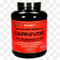 ������뵰����ʳ�����֧��������-����-������