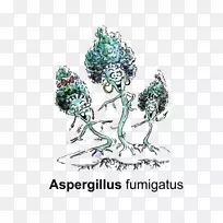 松树开花植物艺术体珠宝.破伤风梭菌-空若网 松树开花植物艺术体珠宝.破伤风梭菌-空若网