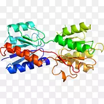 蔬菜有机体系列剪贴画-蔬菜-空若网 蔬菜有机体系列剪贴画-蔬菜-空若网