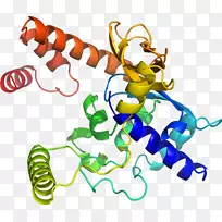 �����߶����������-������