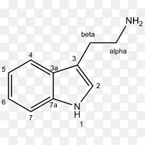 4-������-3-����������ֲ�Ｄ��-5 meoamt-������