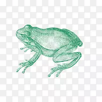 ������ܶ���ѧ-������