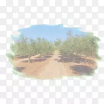 �������plc������-������