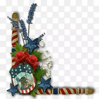 ���ص�������-������Ʋ���-������