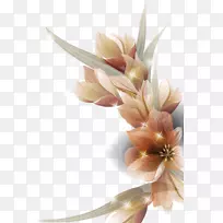 花卉设计-美丽多姿多彩的花朵-空若网 花卉设计-美丽多姿多彩的花朵-空若网