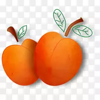 蔬菜水果和蔬菜叶黄素-蔬菜-空若网 蔬菜水果和蔬菜叶黄素-蔬菜-空若网