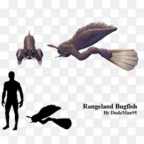动物喙尾蛙-空若网 动物喙尾蛙-空若网