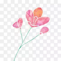 郁金香粉红剪贴画-粉红色花朵-空若网 郁金香粉红剪贴画-粉红色花朵-空若网